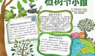 植树节手抄报内容大全 植树节手抄报内容大全