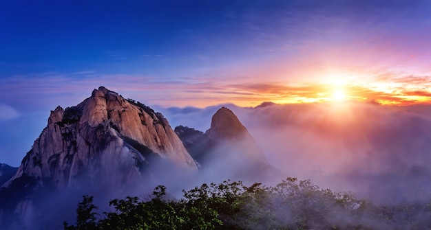 教程辅助!“微乐锄大地透视免费安装苹果版”开挂(透视)最新辅助详细教程